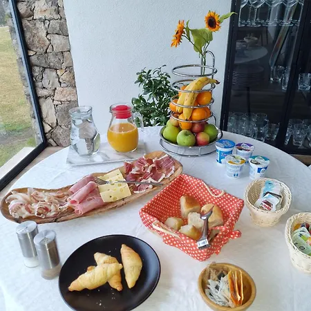 Shamare Resort & Wellness Spa * Hrpelje